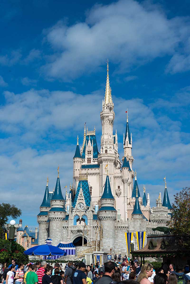 Disney Castle