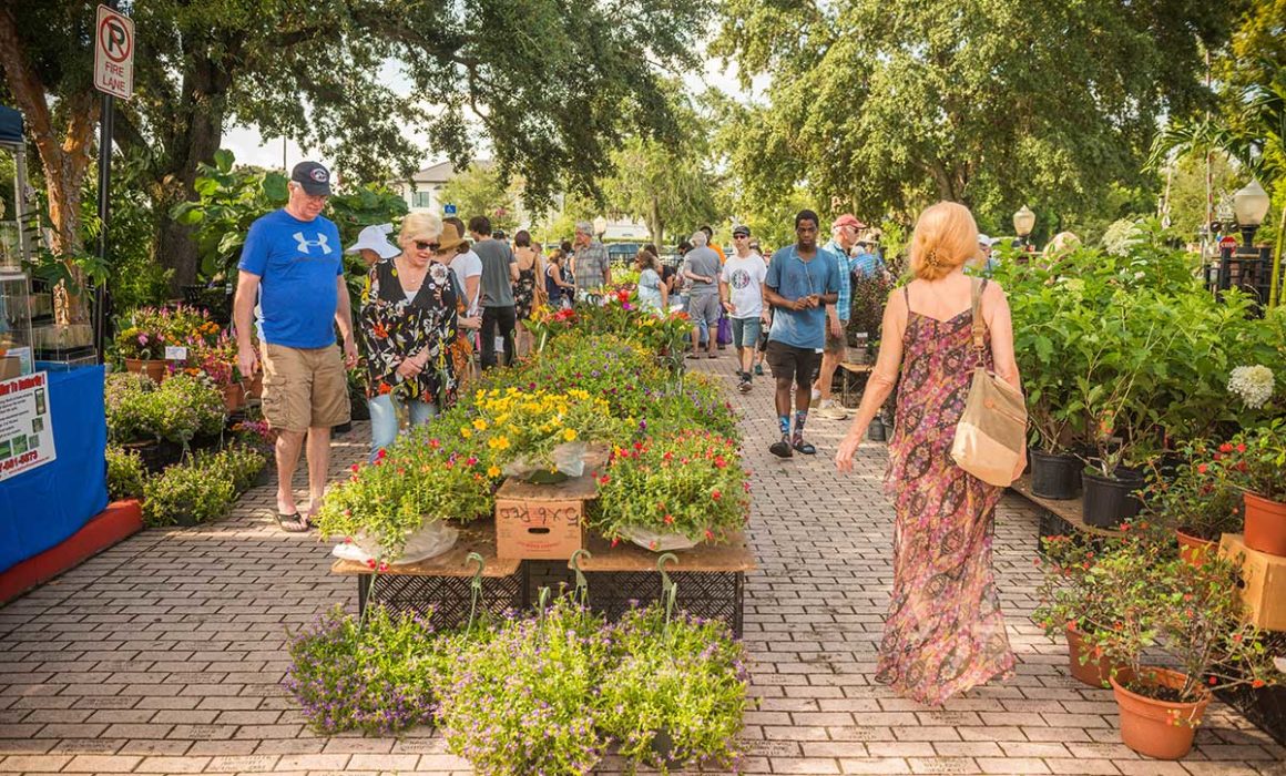 Farmers Market